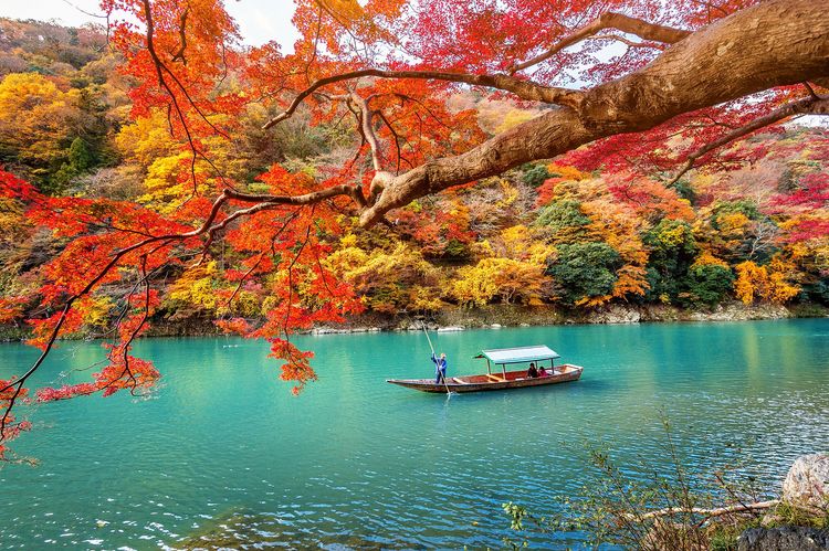 Automne - Kyoto